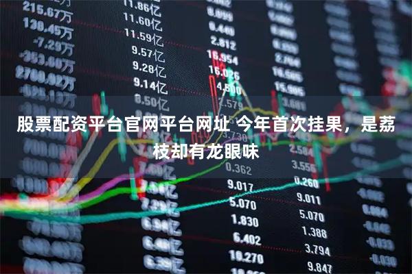 股票配资平台官网平台网址 今年首次挂果，是荔枝却有龙眼味